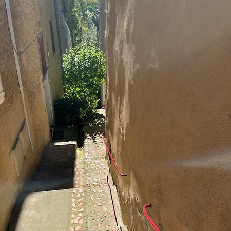 Le Tapis Vert - Loft Avec Jardin Auch Luaran gambar